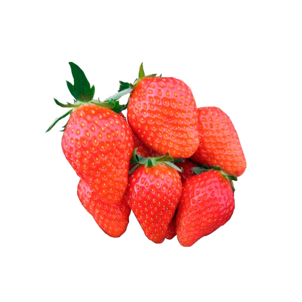 FOOD GALLERY Seol Hyang Strawberry 250 G.