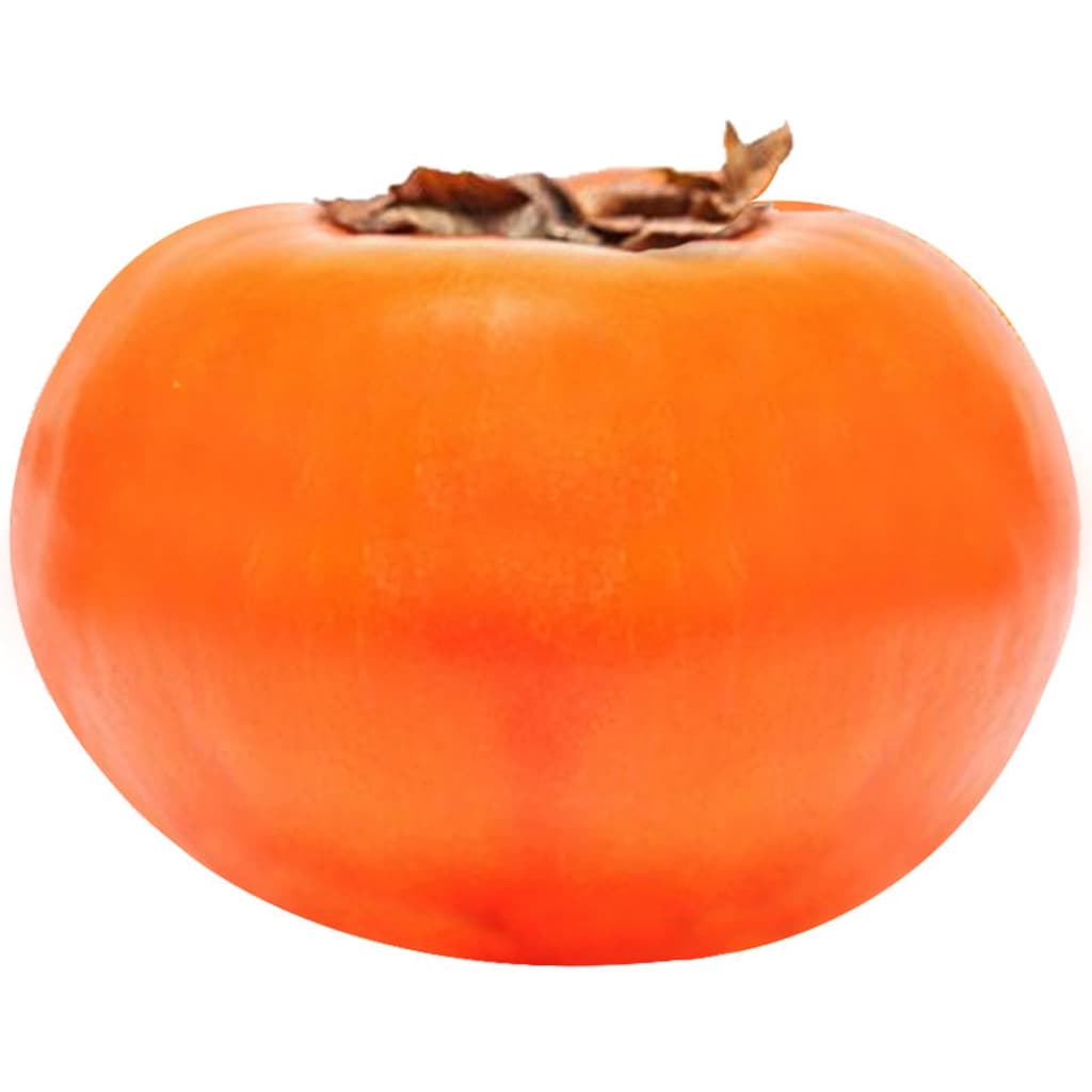 Essence Japanese Persimmon #2L