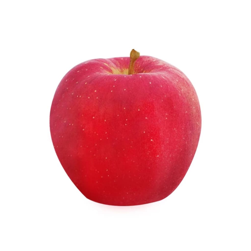 Sk Kotoku Apple #12 (Jp)