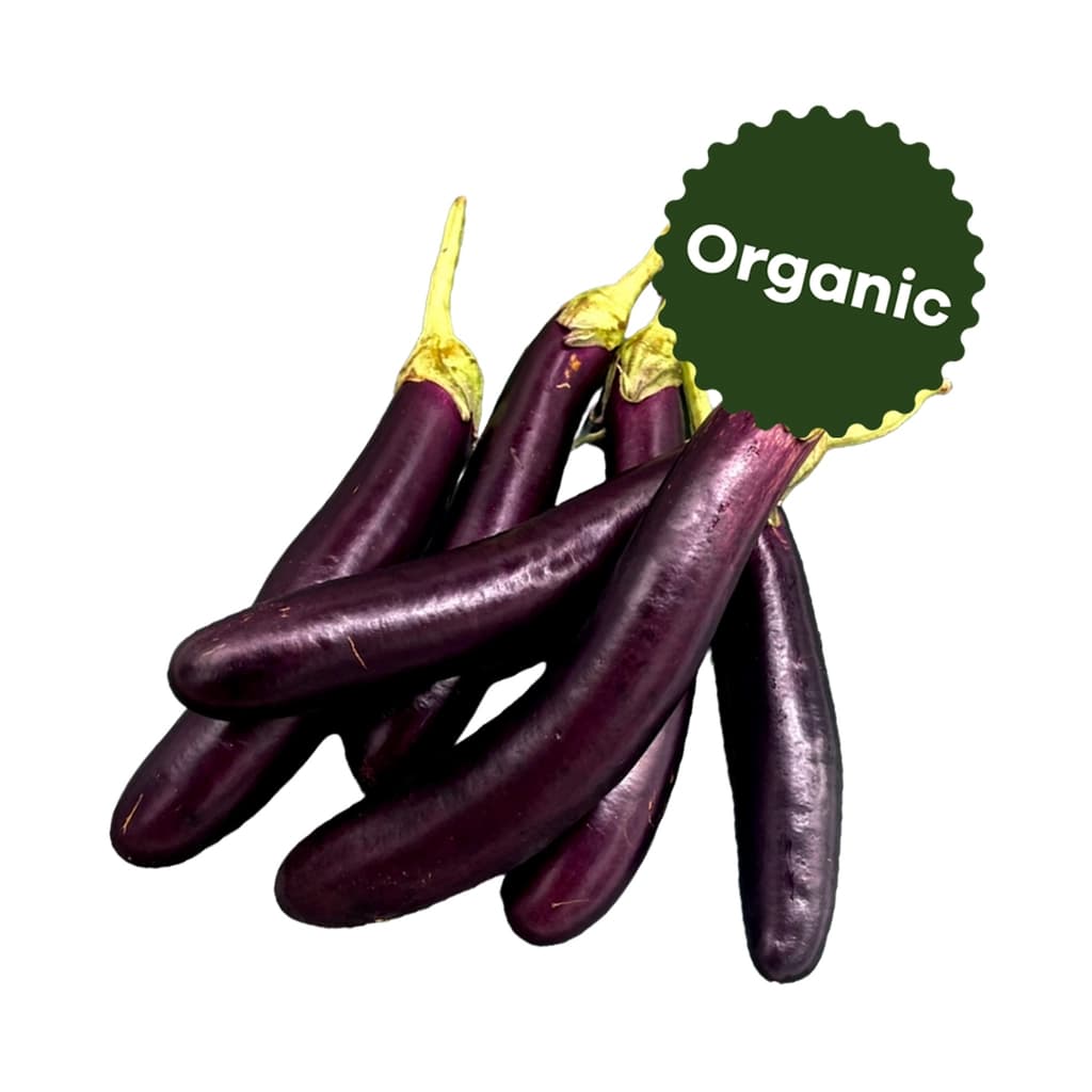 อังเคิลมา มะเขือม่วงยาวออร์แกนิค