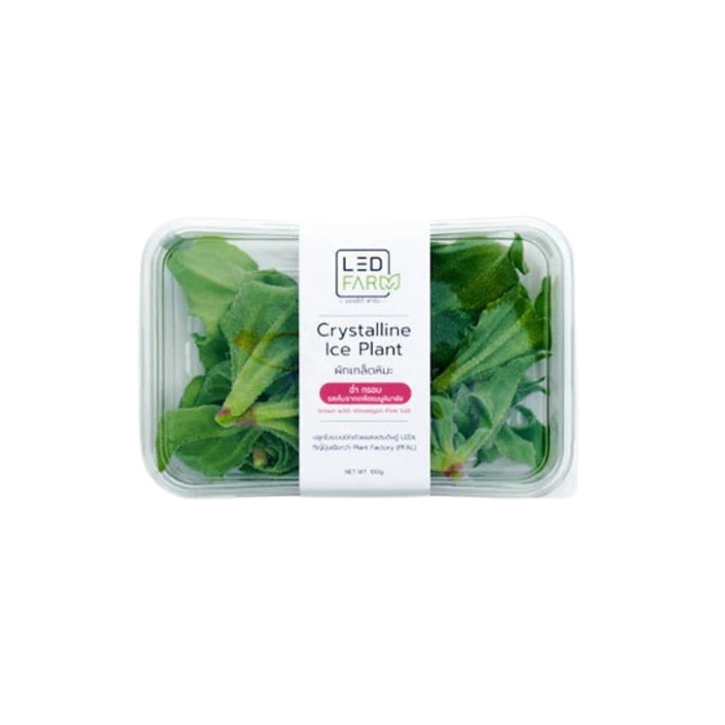 LED ผักเกล็ดหิมะ 100 ก.