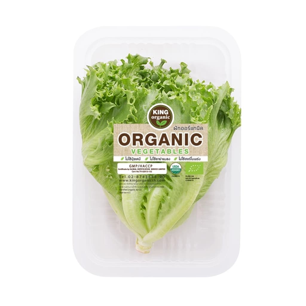 PPK Frillice Iceberg Organic 100 G.