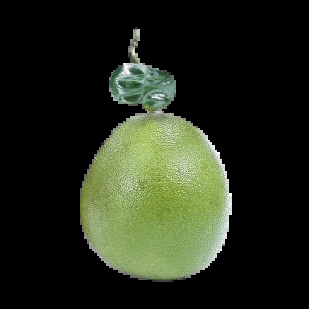 Nakhonthai Siam Ruby Pomelo Size Jumbo