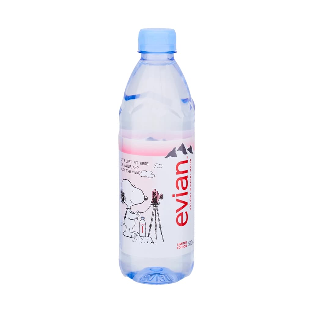 Evian Natural Mineral Water 500ML.