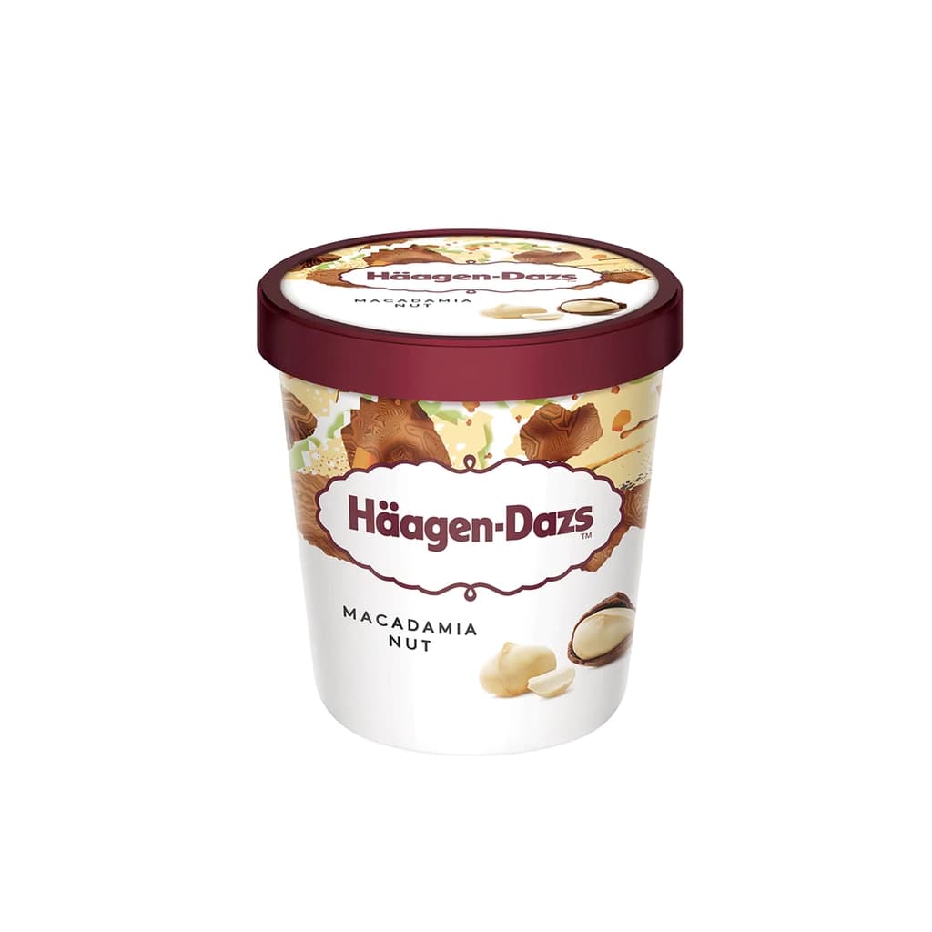 Haagen-Dazs Macadamia Nut Ice Cream 392G.