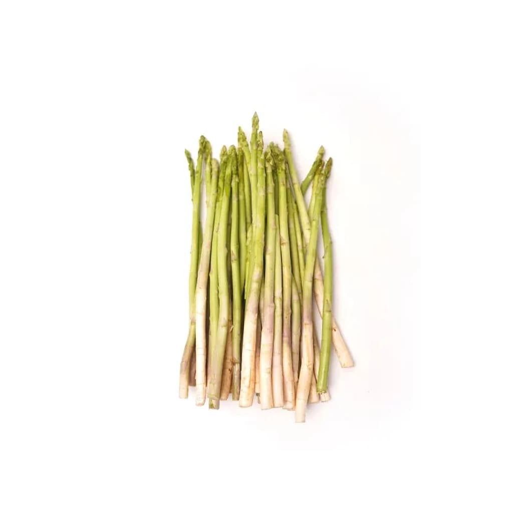 ABS หน่อไม้ฝรั่ง A ตูม