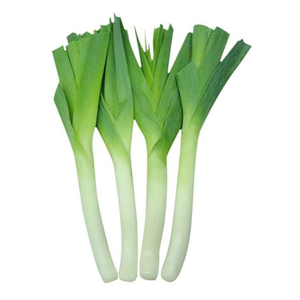 ABS ต้นหอมญี่ปุ่น