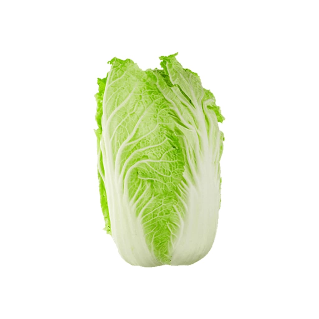 Gmf Chinese Cabbage