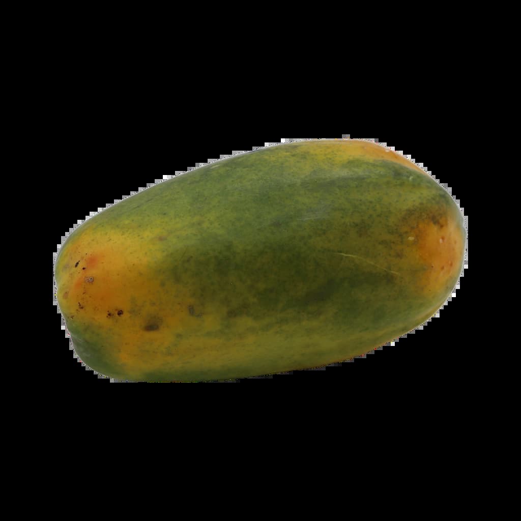 Gmf Red Lady Papaya