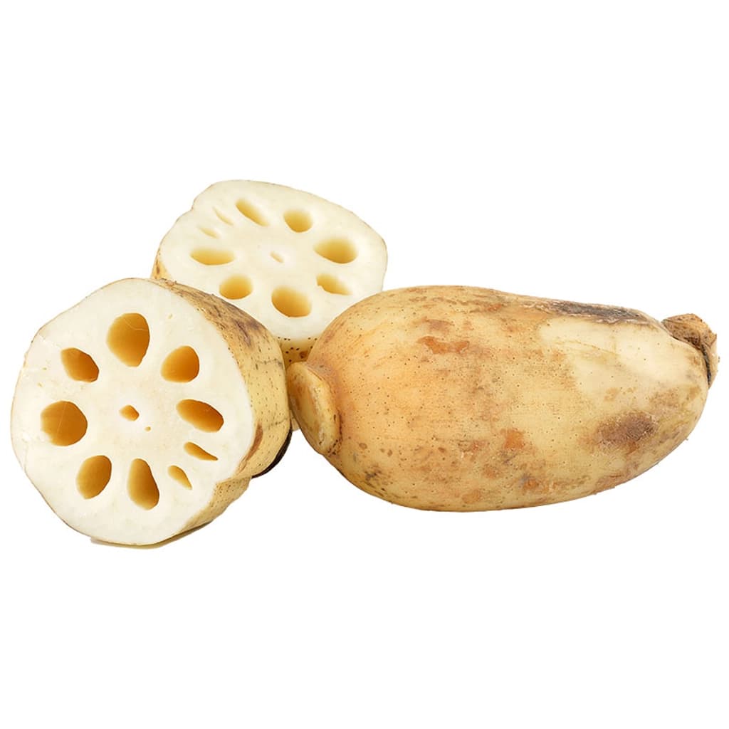 ABS รากบัวจีน