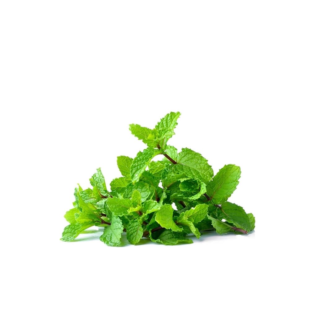 กูร์เมต์ เฟรช ใบสาระแหน่ 100กรัม