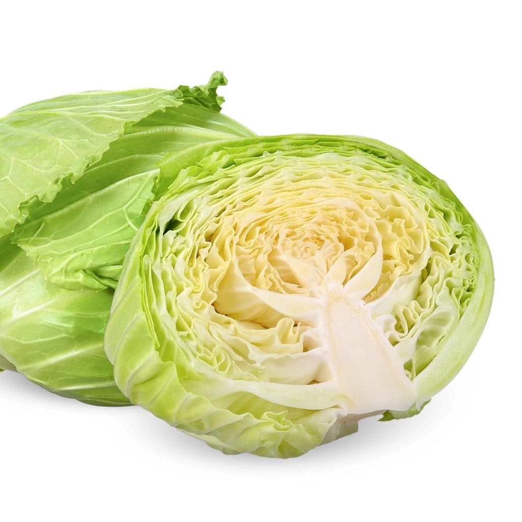 ผักพอเพียง กะหล่ำปลี ปลอดภัย