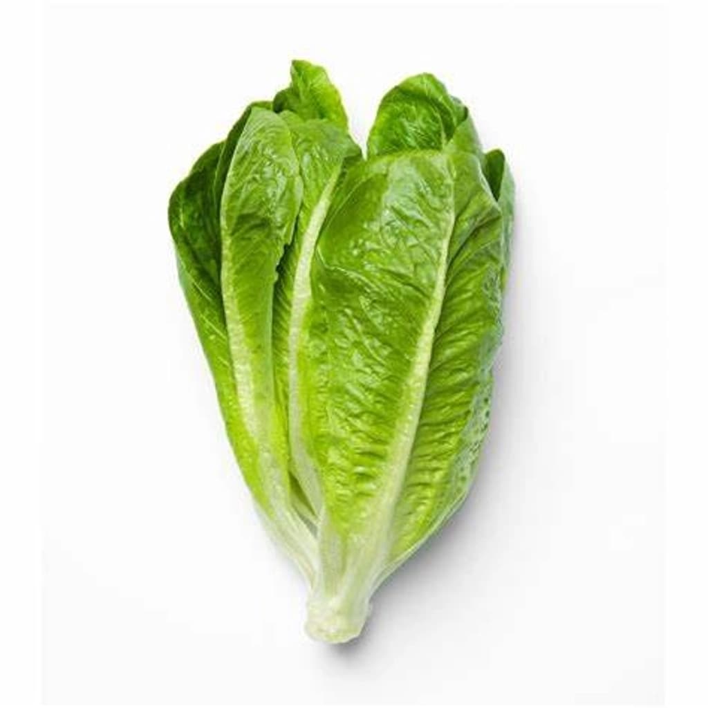 ผักพอเพียง สลัดคอสปลอดภัย