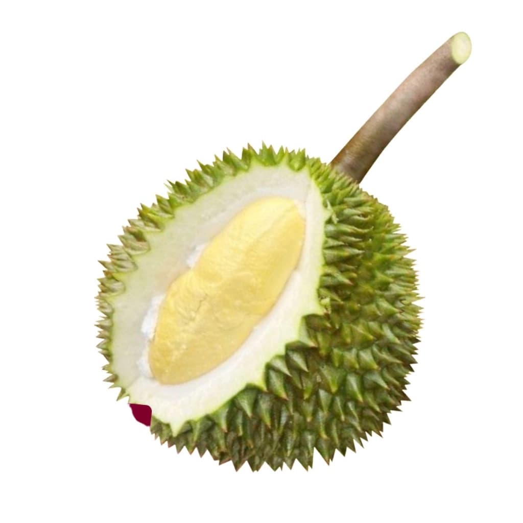 AOT ทุเรียนก้านยาว