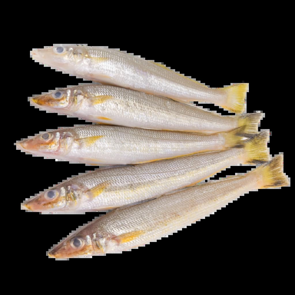 ปลาทรายขาว