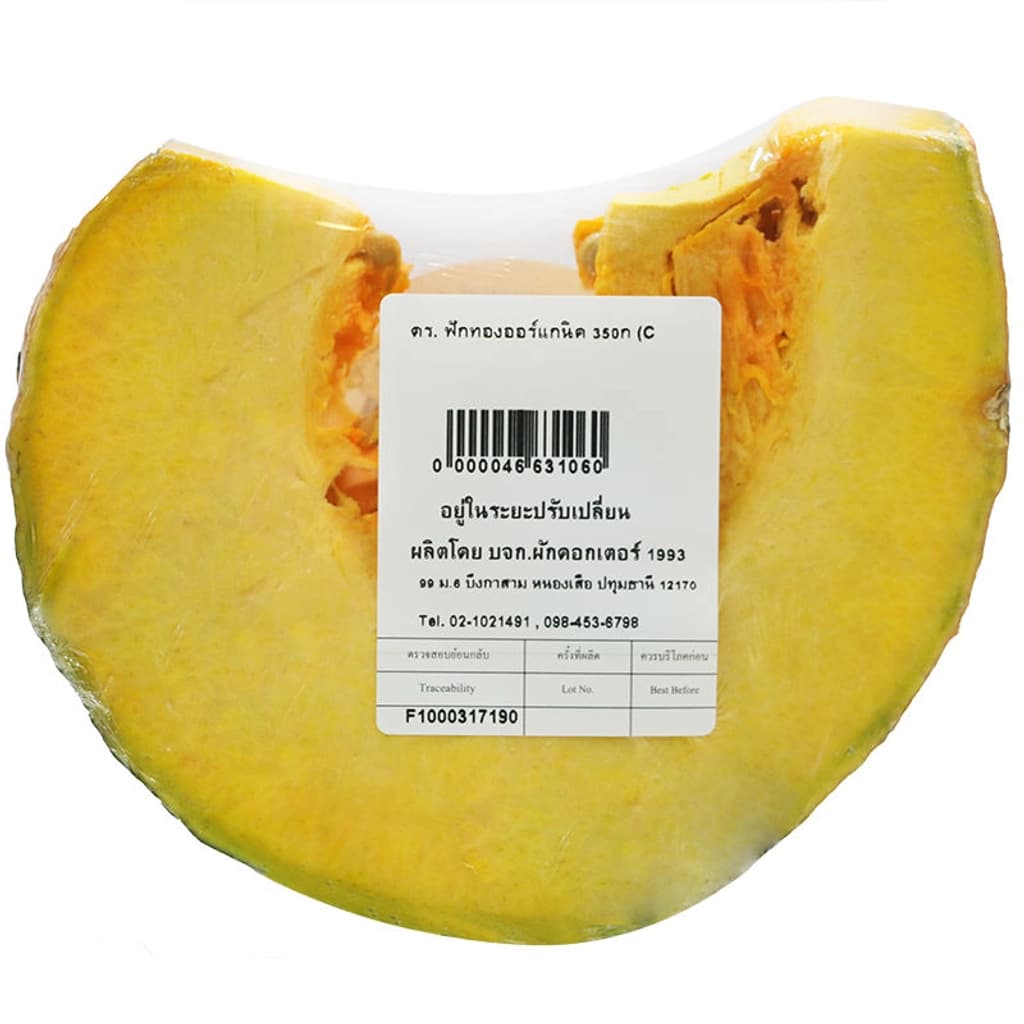 DR.ฟักทองใหญ่