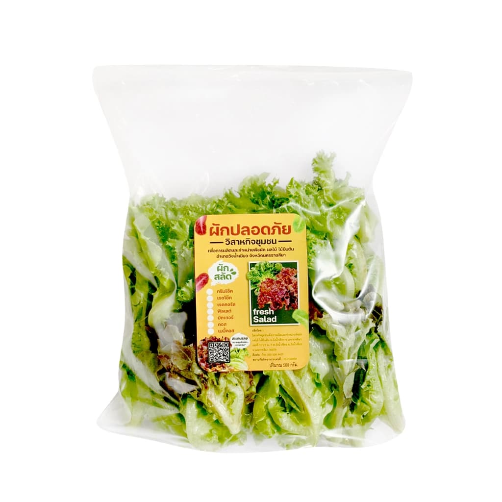 FT ผักสลัดมิกซ์  500ก.