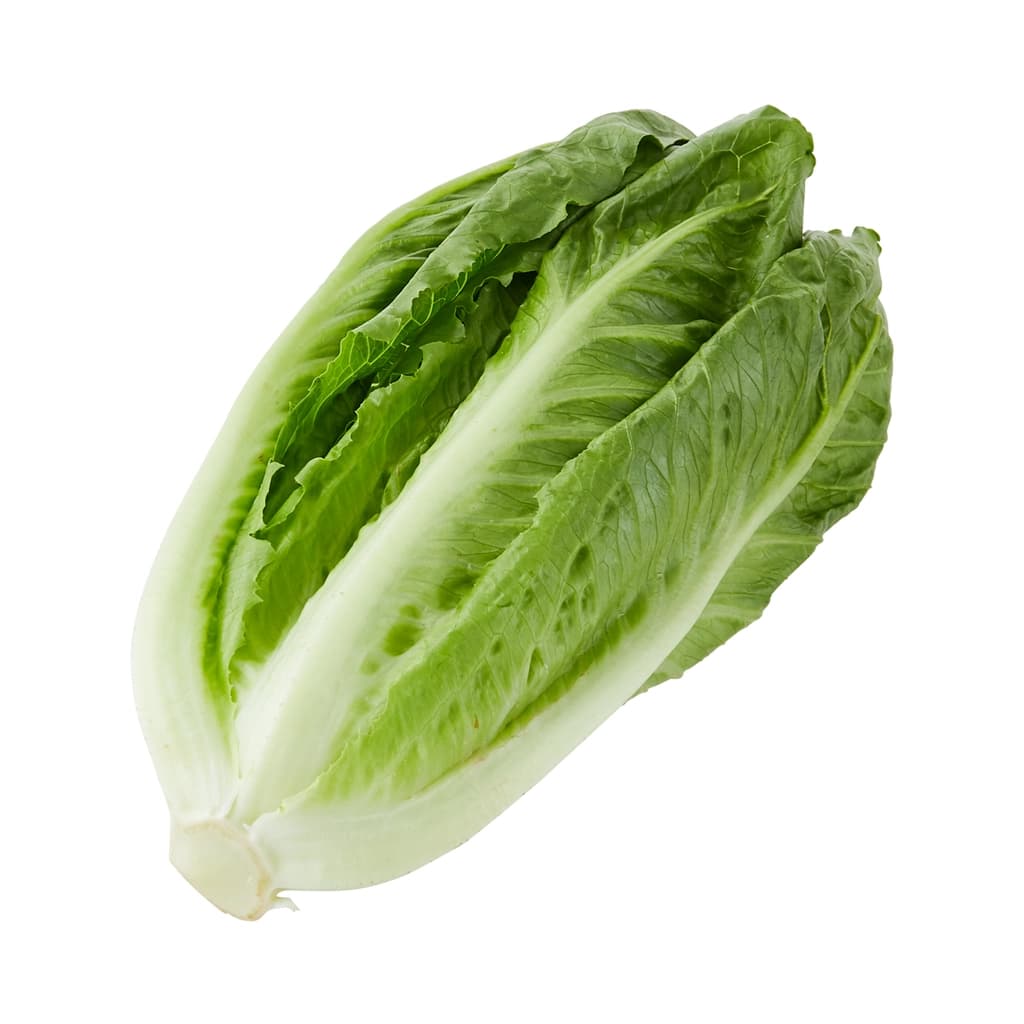 จันกะผัก สลัดคอส 100 กรัม