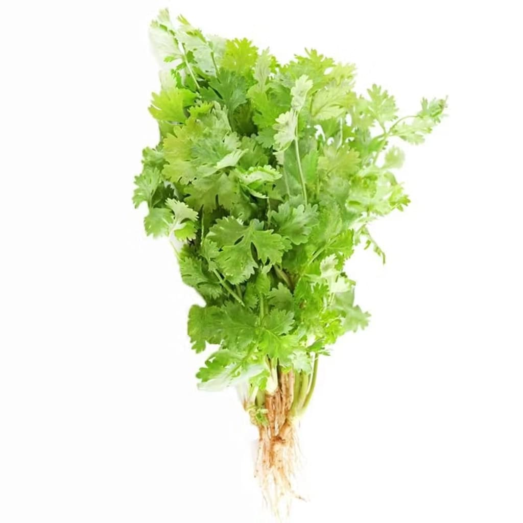 KFF ผักชี 50ก.