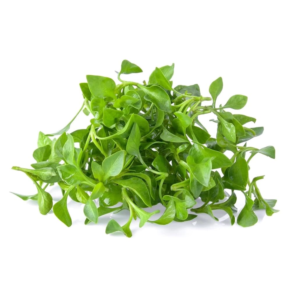 Wb Organic Watercress 50G.