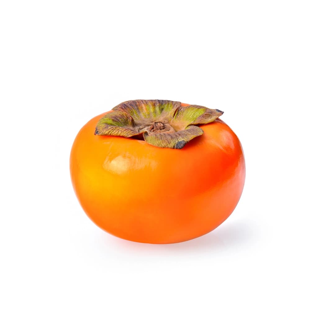 Abs Peraimmon#L (Cn)