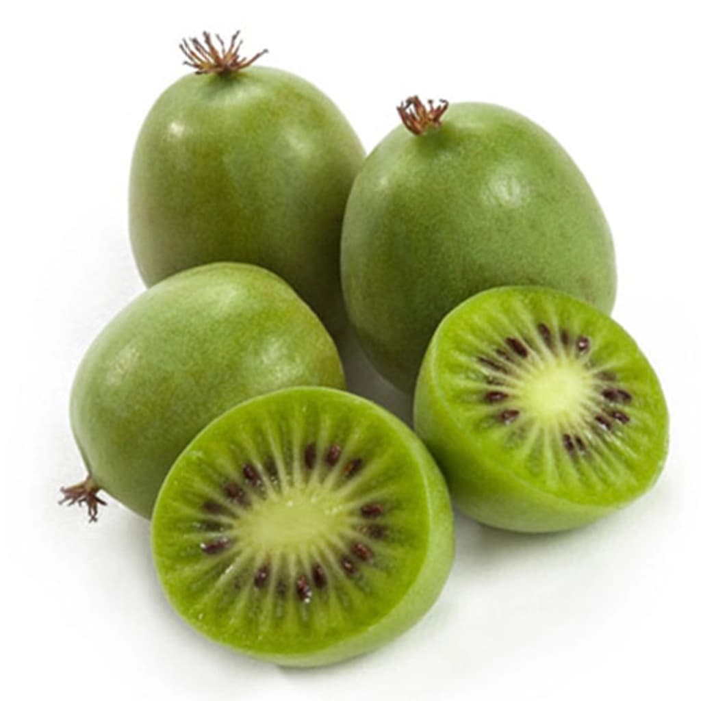 Sk Kiwifruit Nz#27