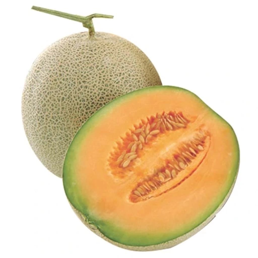 ฟาร์มเฟรช แคนตาลูปสีทองเนื้อขาว/ส้ม