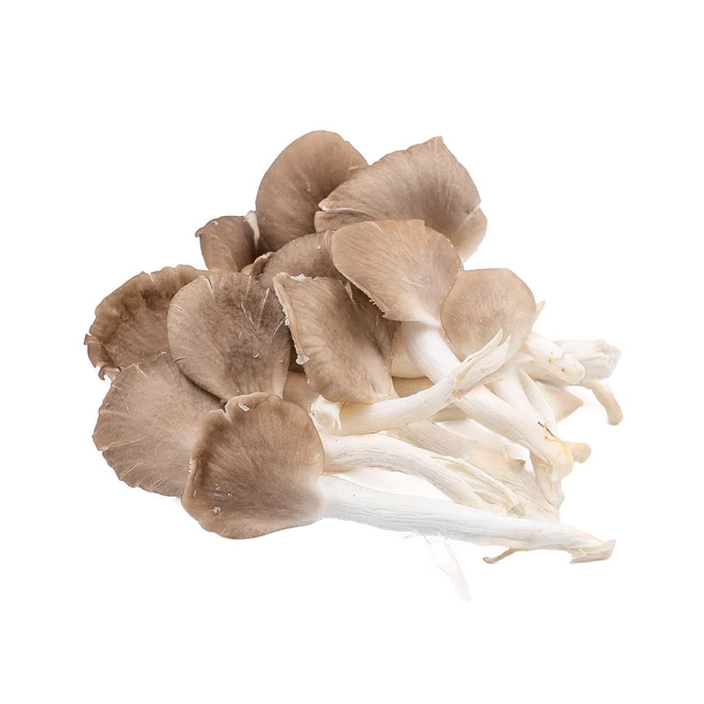 RP เห็ดนางฟ้าภูฐาน 150ก.