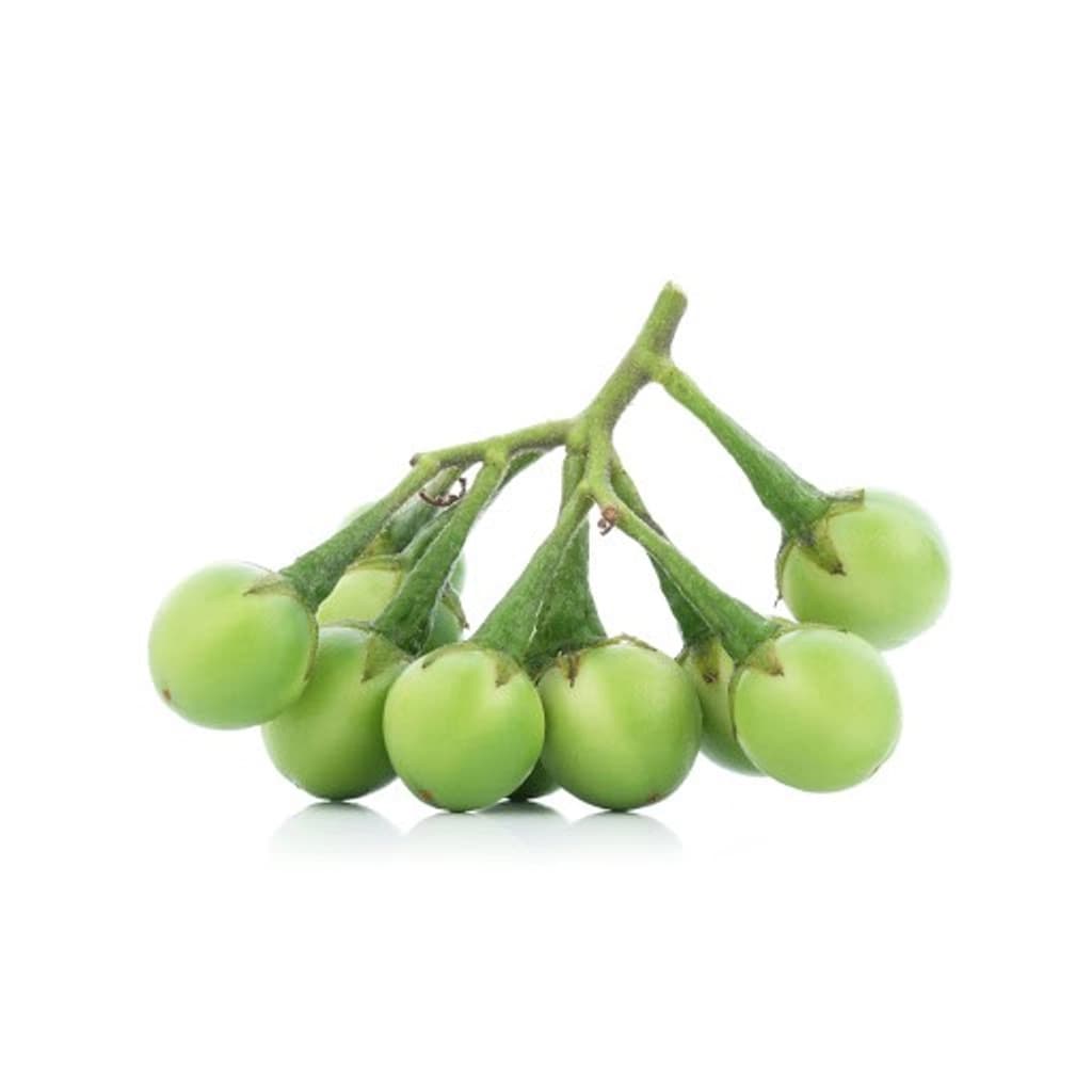 N&P มะเขือพวงออร์แกนิค 150ก.