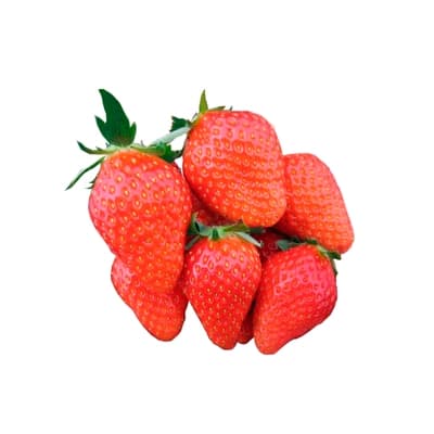 food gallery Yubeni Strawberry 250G.