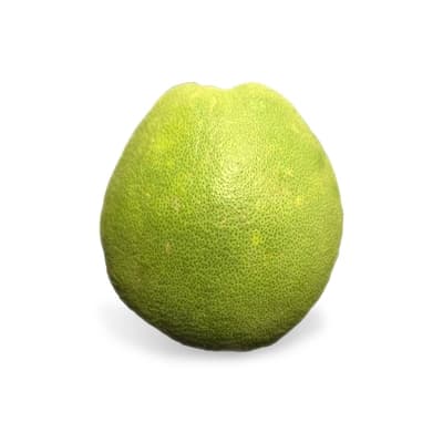 Nakhonthai Siam Ruby Pomelo Size XL