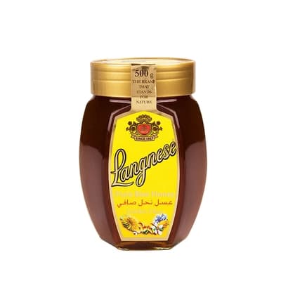 Langnese Honey 500G.