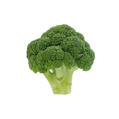 Gmf Broccoli