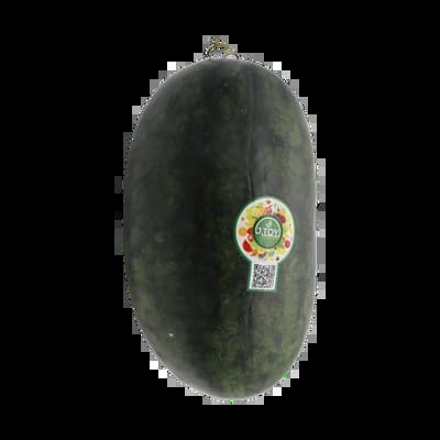Torpedo Watermelon