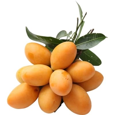 Sweet Marian Plums