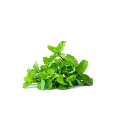 Gourmet Fresh Pepper Mint 100G.
