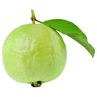 Golden Guava