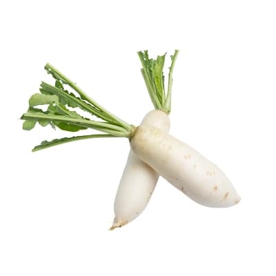Ppk Radishes
