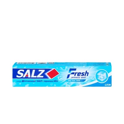 Salz Fresh Toothpaste 140G.