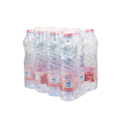 Neptune Drinking Water 0.6 L. Pack 12