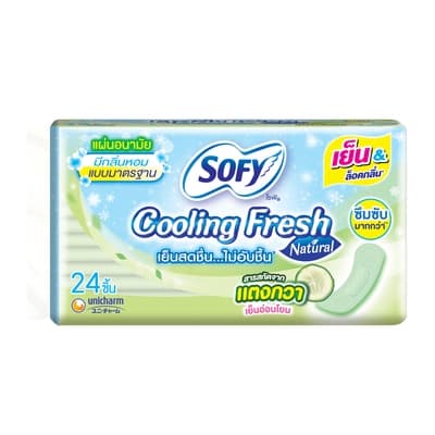 Sofy Panty Liners Cooling Fresh Natural Regular Scented 24PCS.