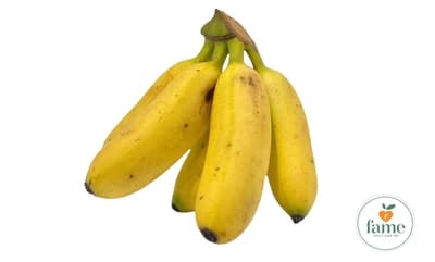 Fame Pisang Mas Banana 300G.